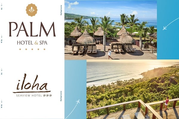 Image partner Palm & Iloha